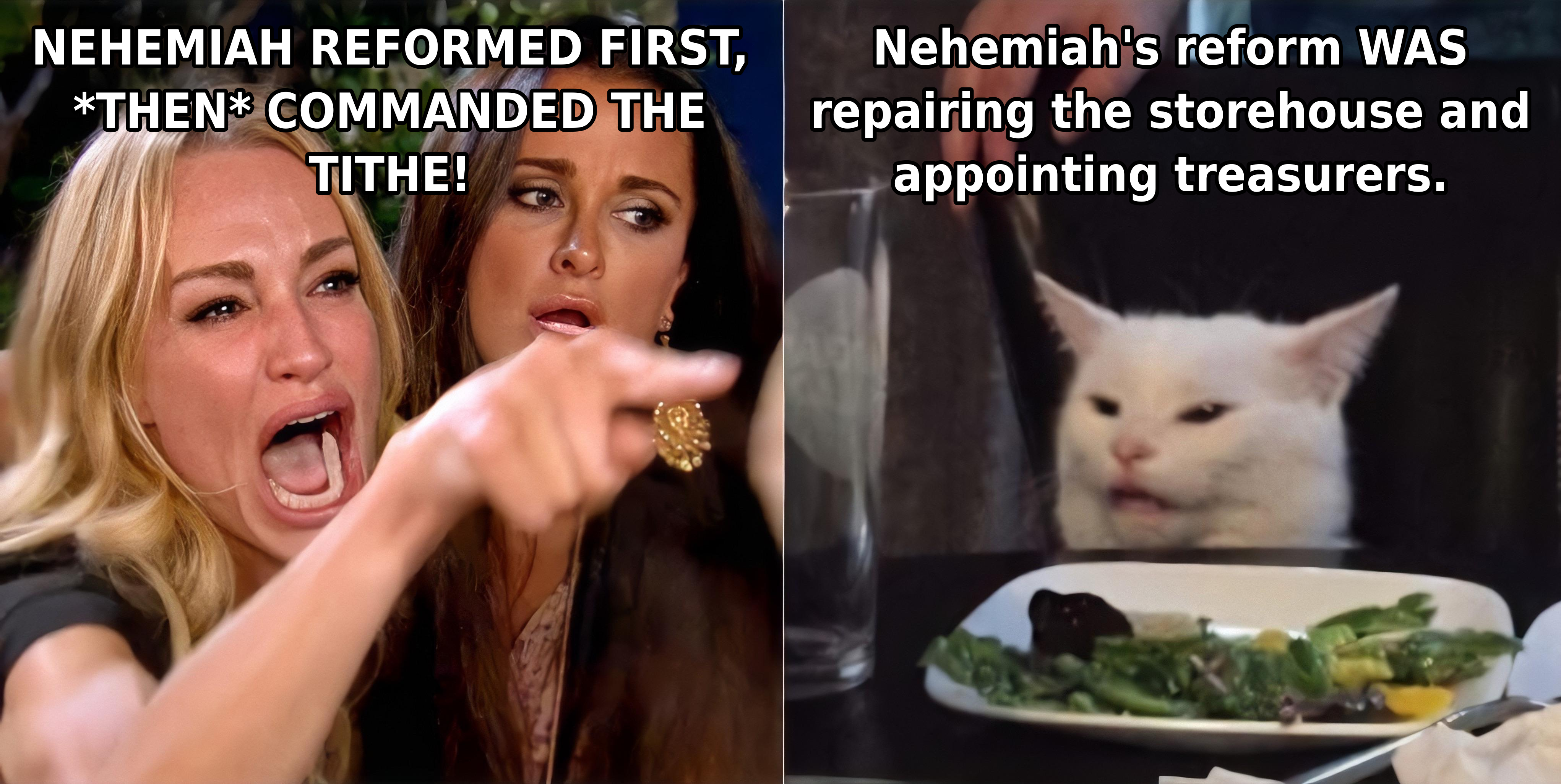 Meme: woman yelling that Nehemiah reformed first, then commanded the tithe; a cat replies that Nehemiah's reform was repairing the storehouse and appointing treasurers